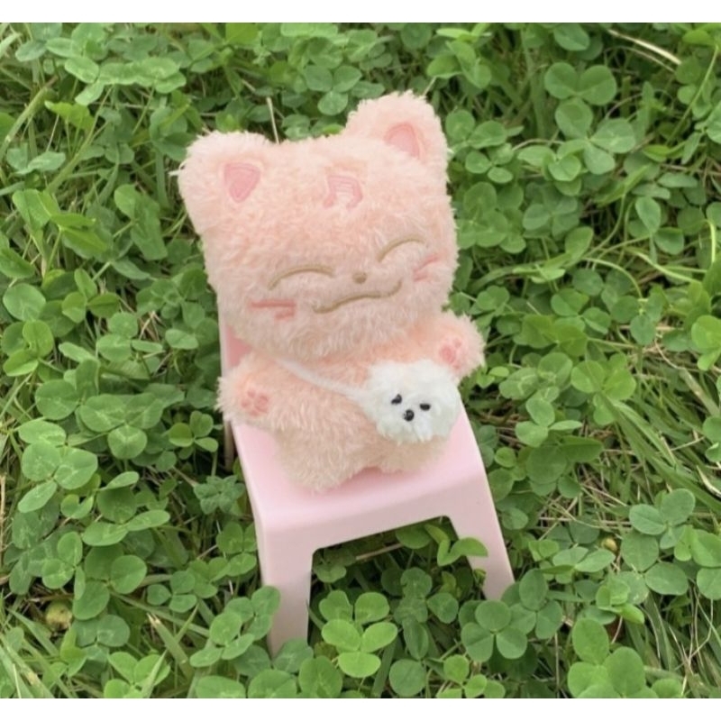 chenle nct doll momotoule pink