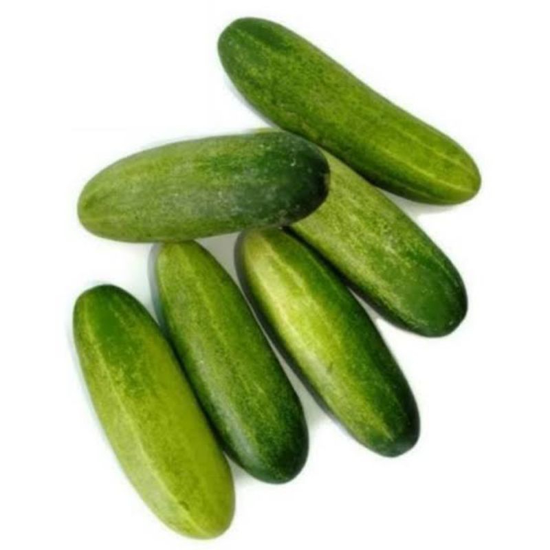 

Timun Acar 500 gr