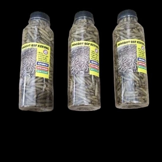 Dry Magot Bsf Kering Grade A pakan channa predator arwana auranti barca stewarti blue pulcra