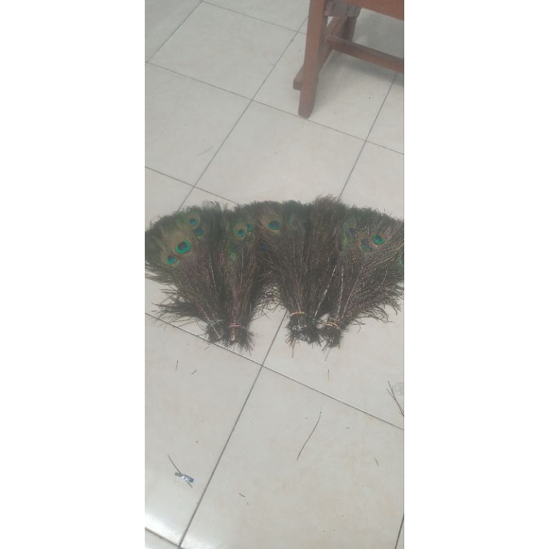 BULU MERAK SINTETIS 40CM