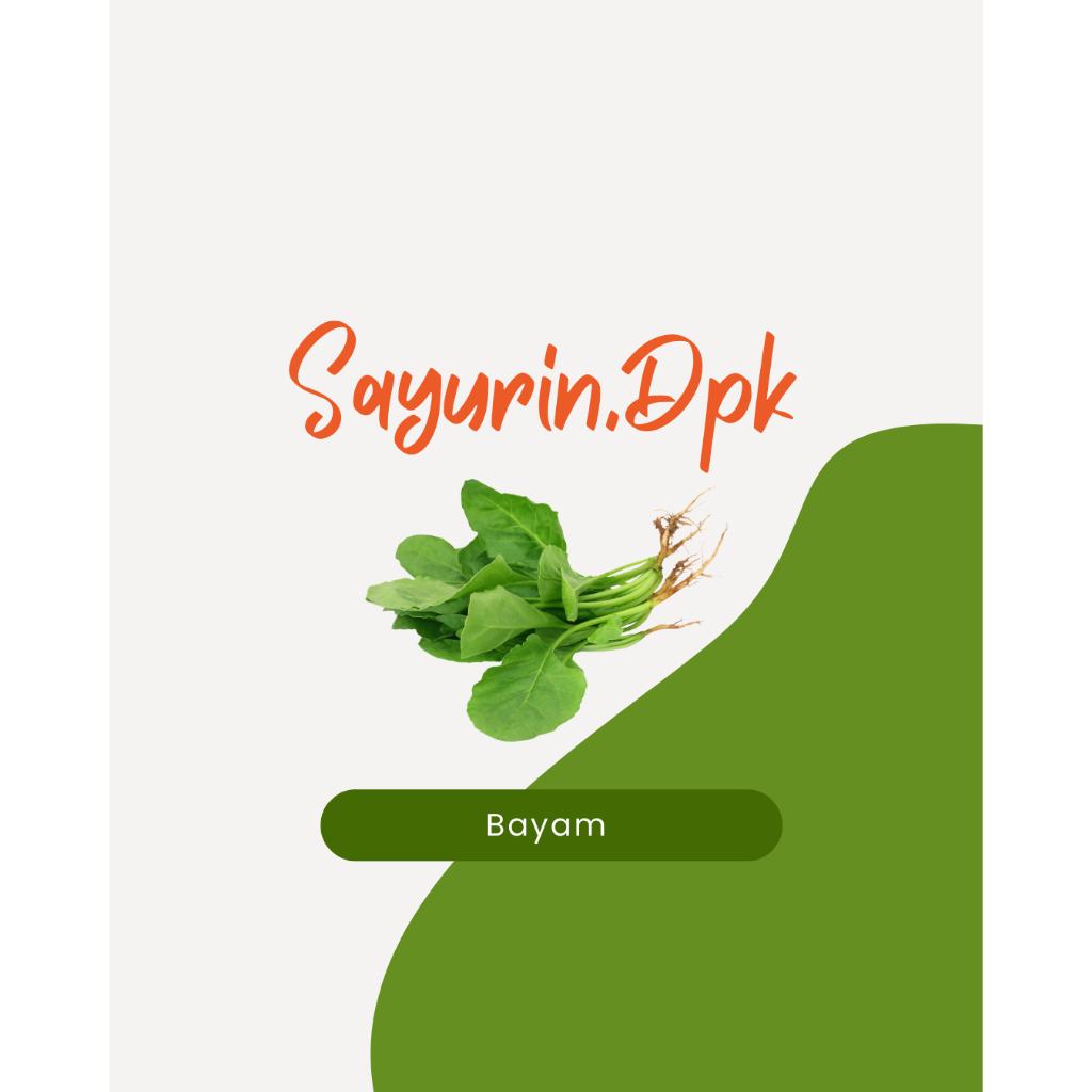 

Bayam