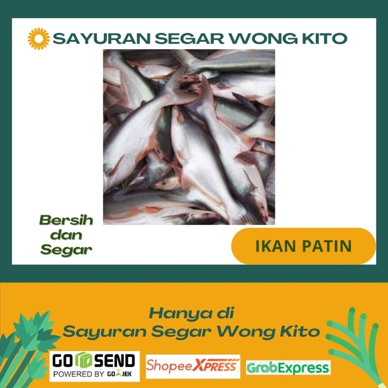 

Ikan Patin Segar - Sayuran Segar Wong Kito