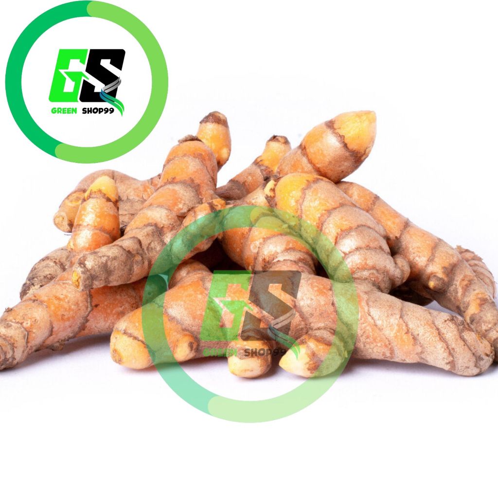 

Kunyit segar 500gram