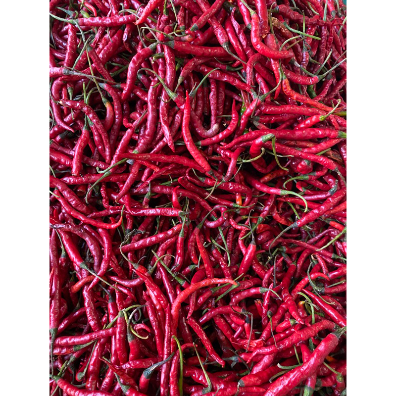 

Cabe merah segar cabe merah pedas