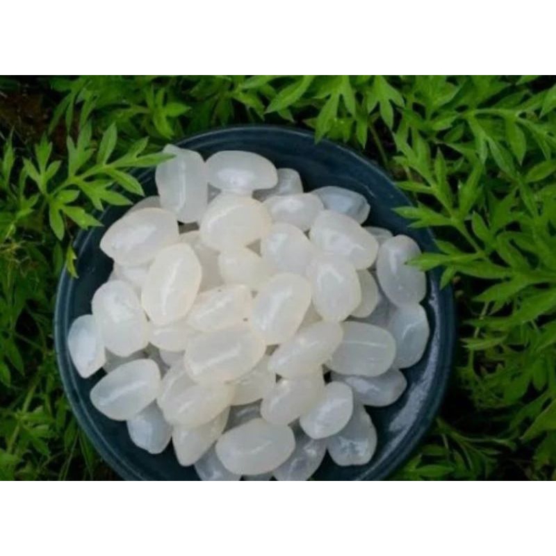 

Kolang kaling super kolang kaling bahan manisan terbaik kolang kaling medan neto 500 gram