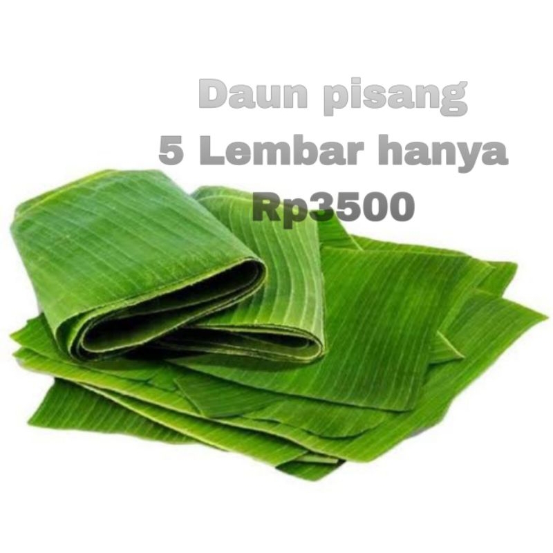 

5 lembar daun pisang muda bungkus makanan