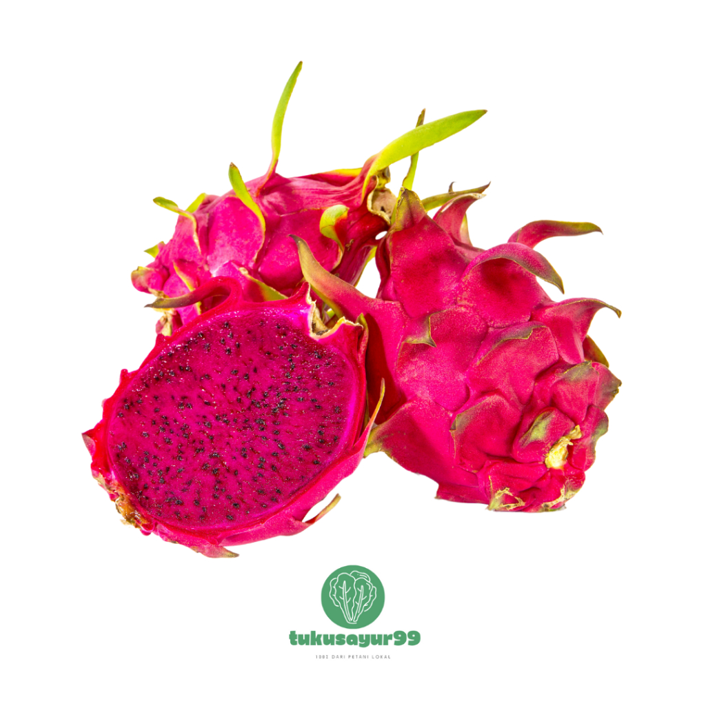 

Buah Naga Segar Lokal Kualitas Terbaik 500 gram