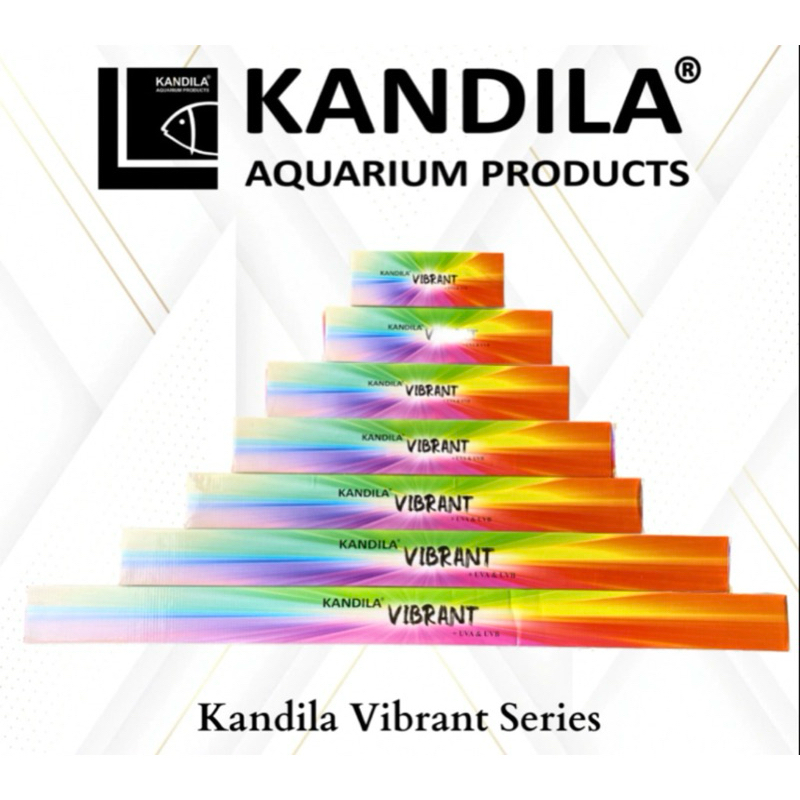 Kandila Vibrant