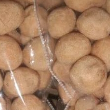 

kacang telur 10 ribuan/kacang oven