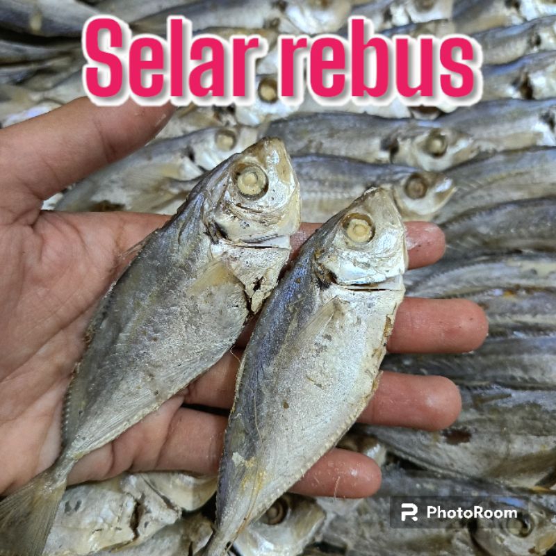 

IKAN ASIN SELAR REBUS 1KG