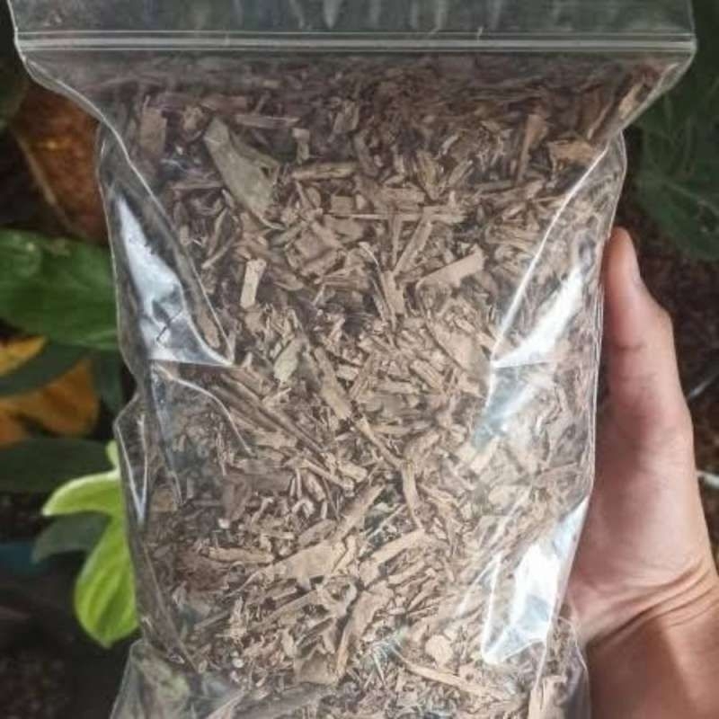 daun bambu kering