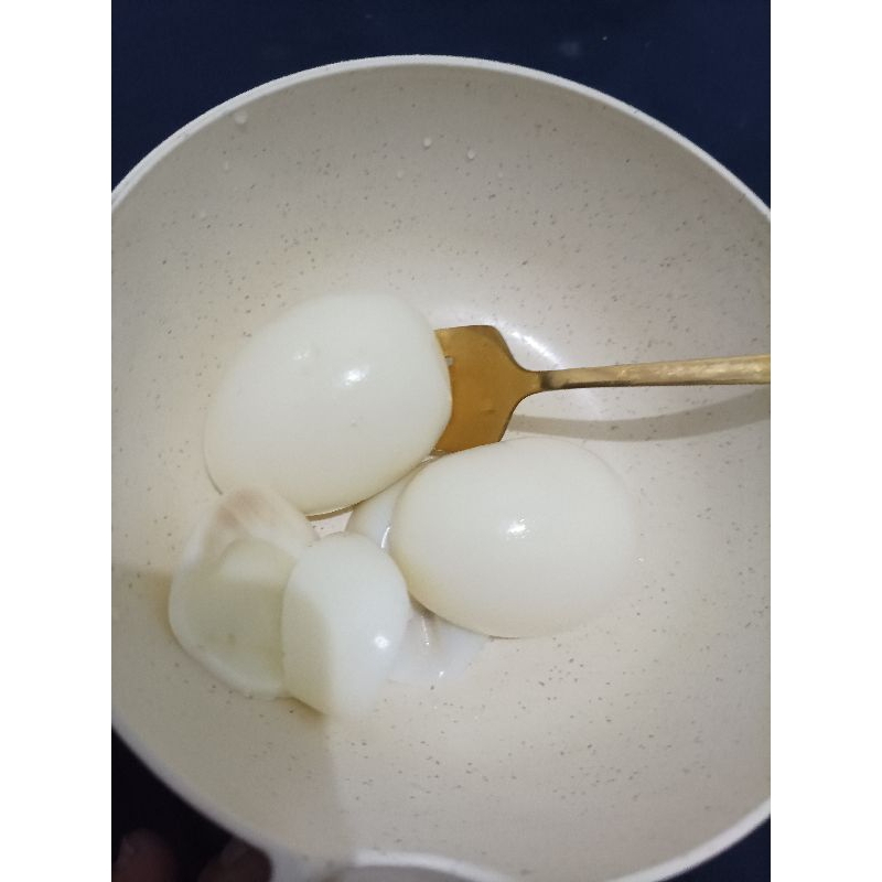 

TELUR GAJAH LANGKA