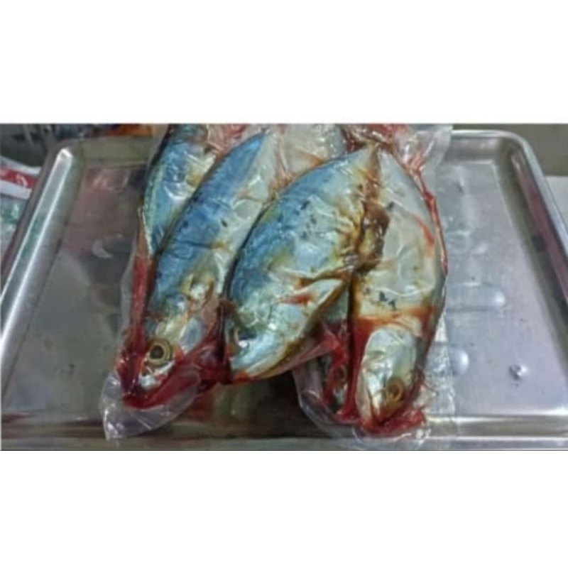 

ikan kembung segar