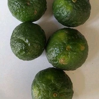 

jeruk sambal segar