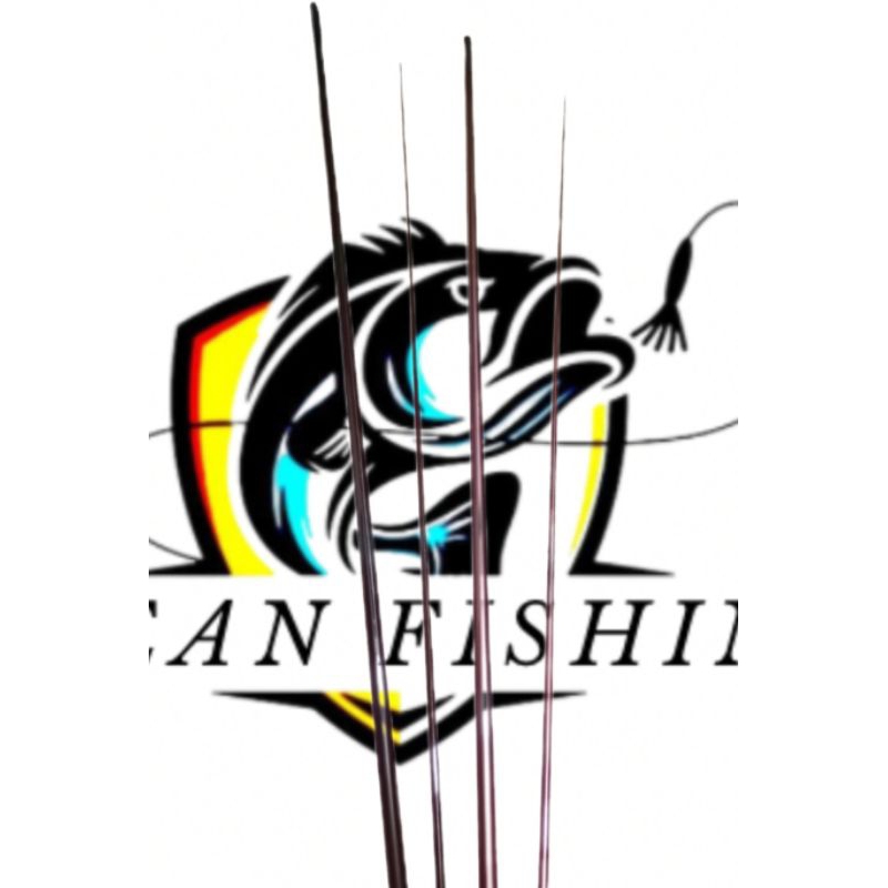 Blank  Hollow joran Scorpion 2 section -carbon blnk sambung tengah