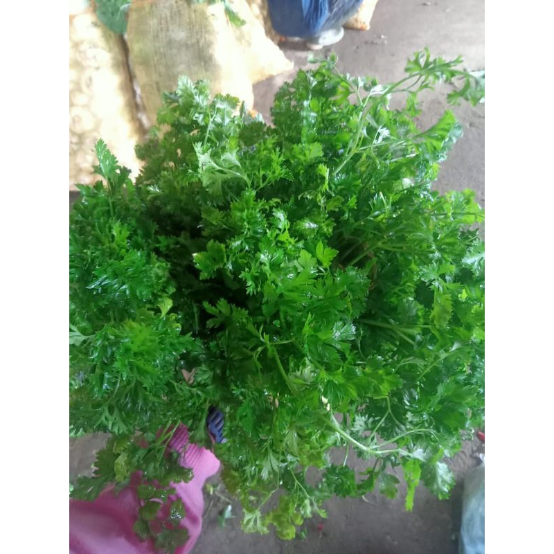 

patraseli per 250g