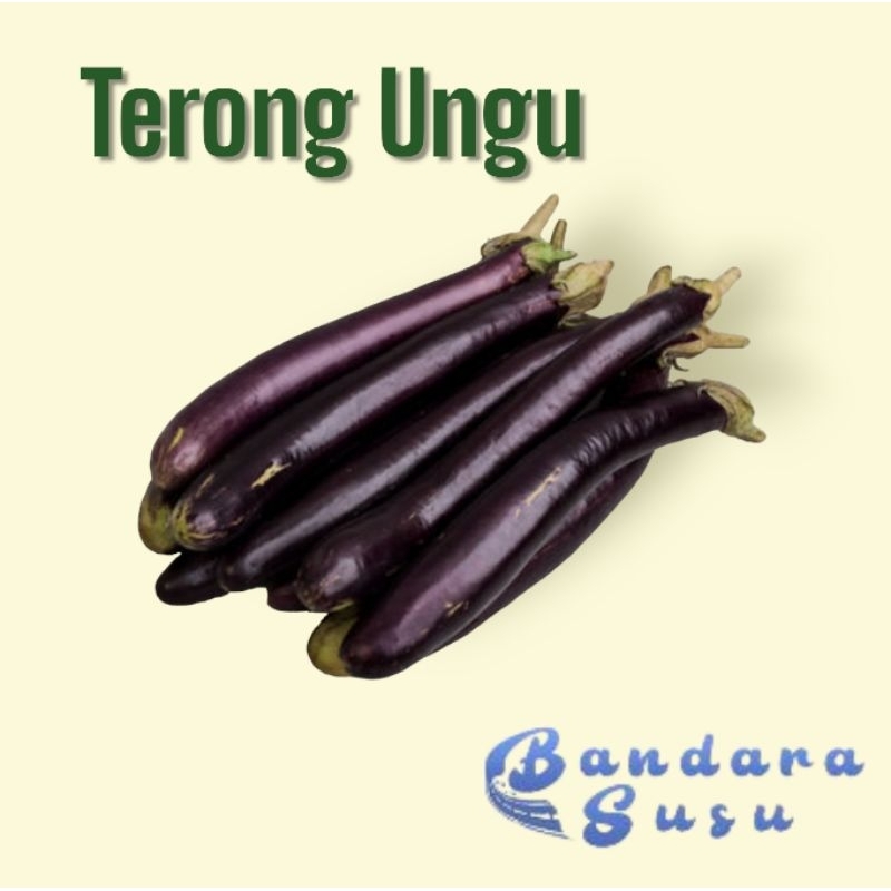 

Terong Ungu 500 Gram