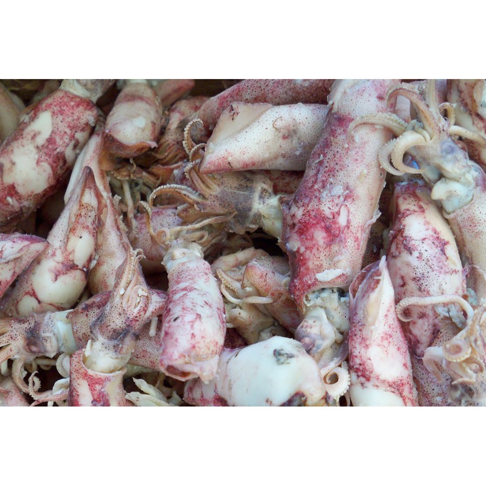 

XPRESS FCW Cumi Asin Kering 25 Gram