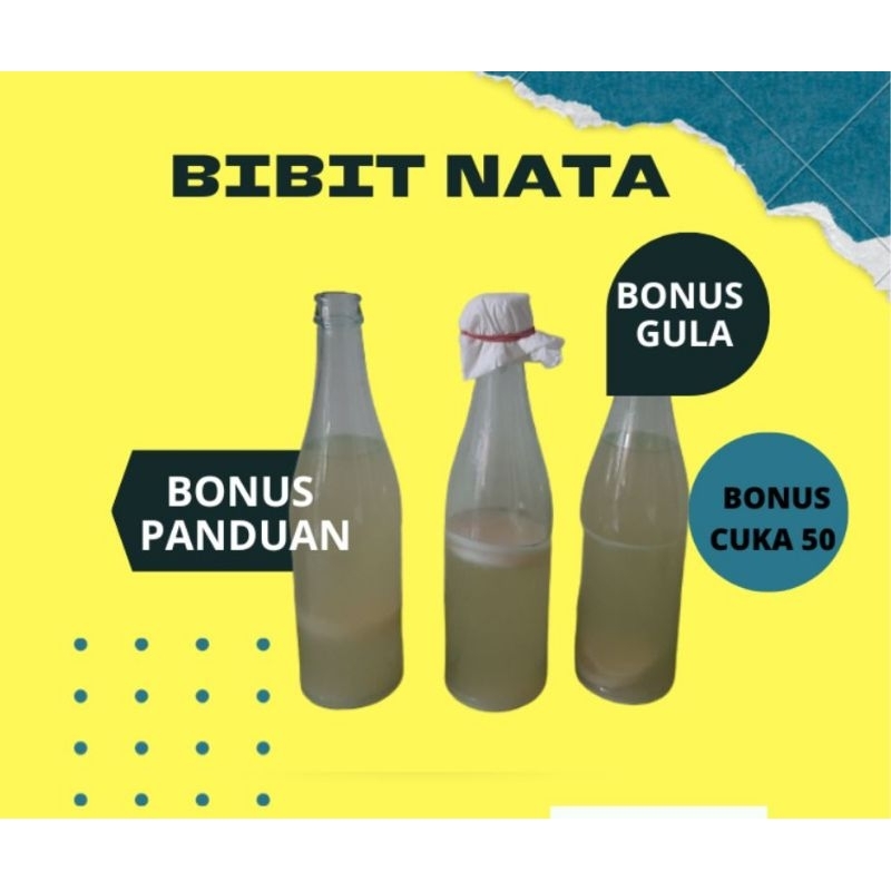 

Bibit nata strater nata stater nata biang nata sari kelapa