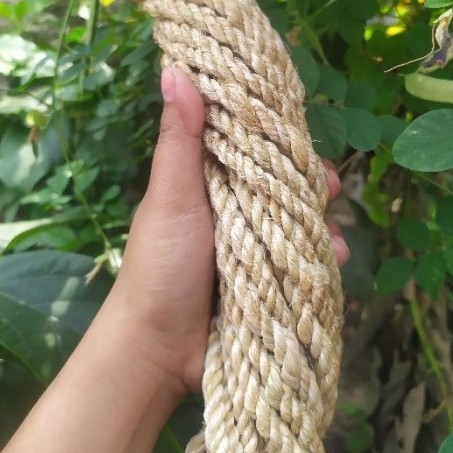 

Tali Rami / Tali Serat Nanas 8mm 9 meter