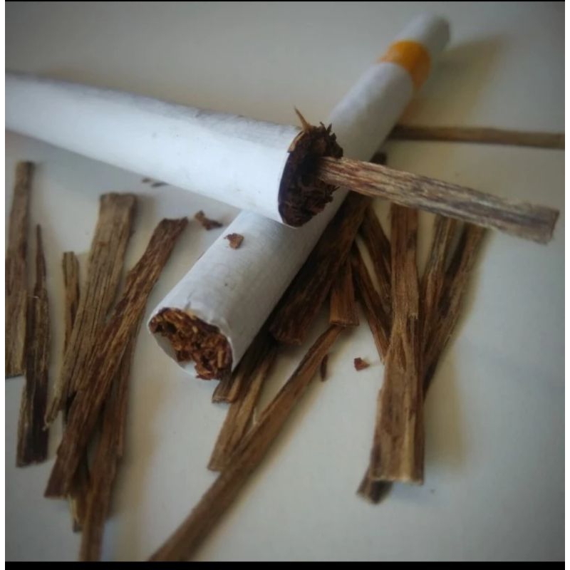 STICK KAYU GAHARU ANTIOKSIDAN