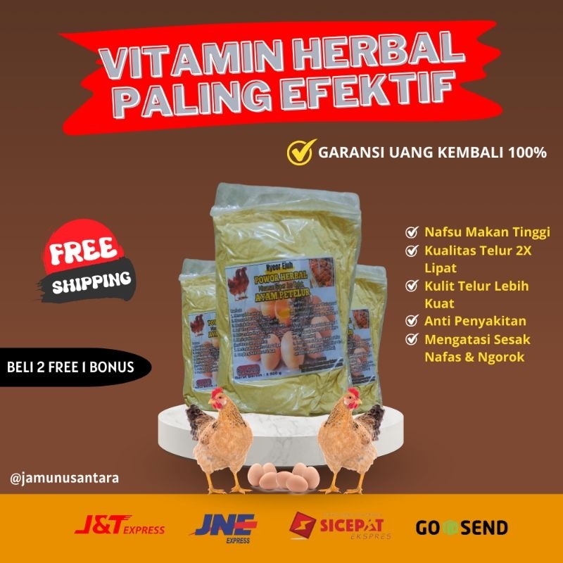 Vitamin Ayam Petelur – Obat Cacing, Ngorok & Penambah Nafsu Makan Ayam Bangkok Pedaging