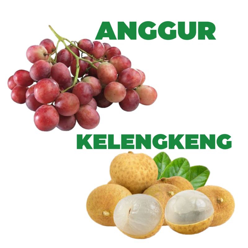 

BUAH ANGGUR & KELENGKENG TEMUFRESH - Buah Anggur Kelengkeng Segar Sleman Jogja - TemuPawon