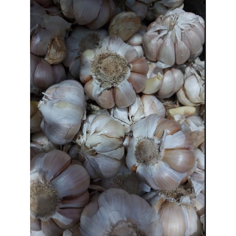 

BAWANG PUTIH 500 gm