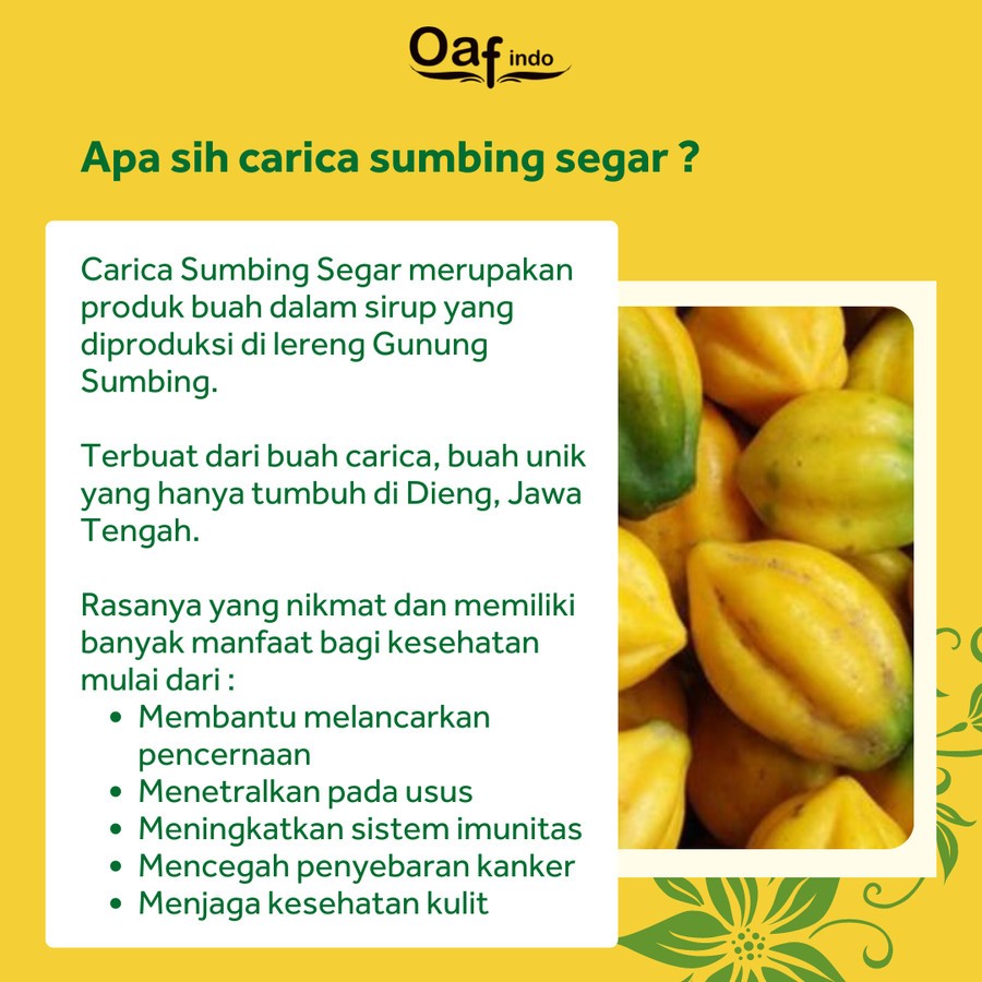 

AFGC Carica Dieng Sumbing Segar Isi 6 Cup Manisan Buah Pepaya Oleh Oleh Khas Wonosobo