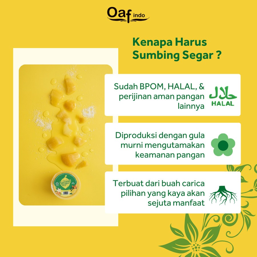 

Carica Dieng Sumbing Segar Isi 6 Cup Manisan Buah Pepaya Oleh Oleh Khas Wonosobo