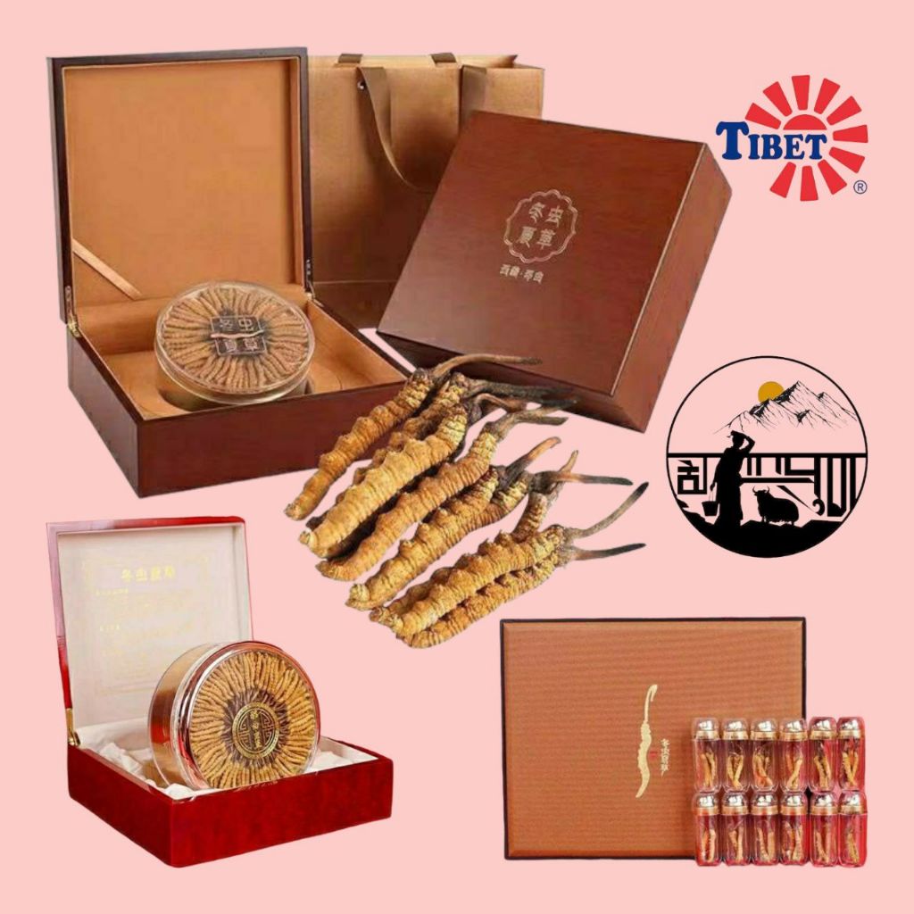 CORDYCEPS ROOSTERBRAND DONG CHONG XIA CAO CORDYCEPS TIBET SP