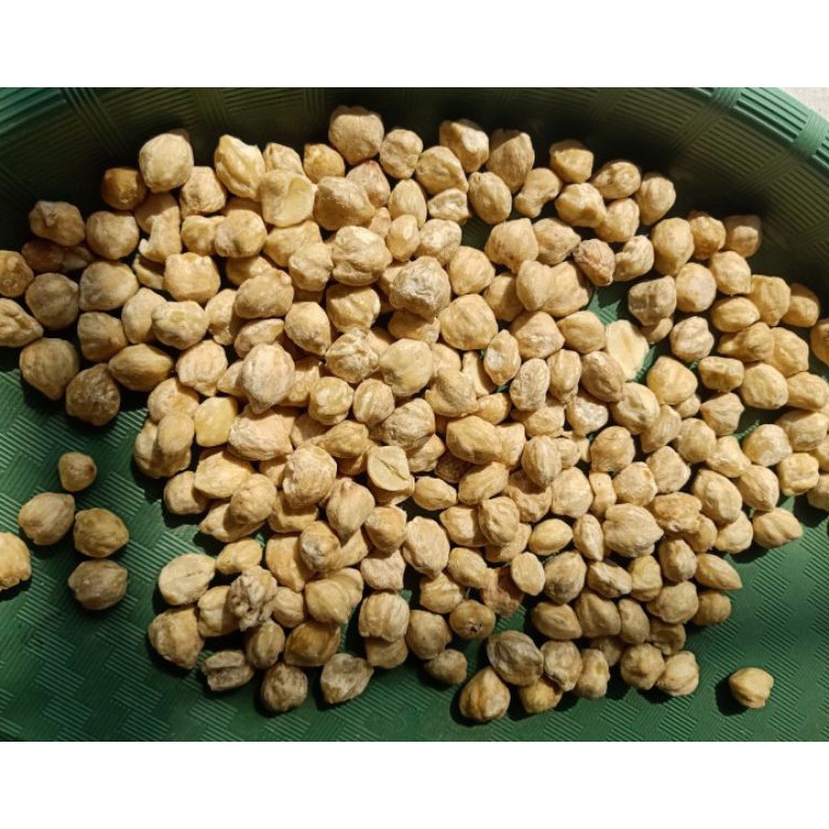 

VIRAL Kemiri Bulat Medan 1KG Kilo Fresh Kualitas Terbaik