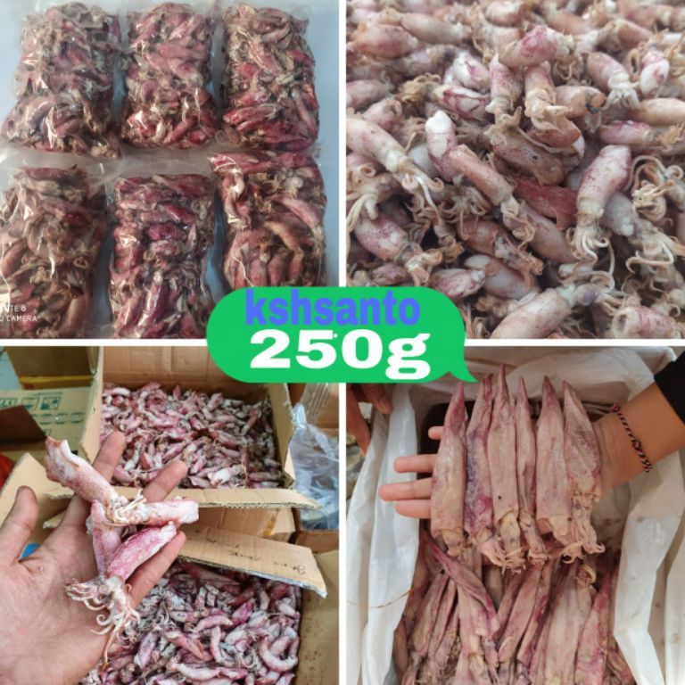 

GROSIR MURAH ikan asin cumi telurcumi bebbylontar aneka25g