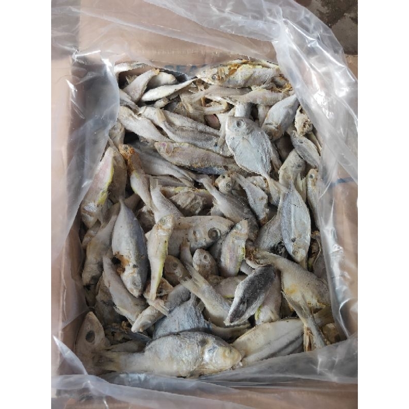 

Obral Ikan Asin Campuran / Campur - Campur / Bodi / Oplos Isi 1Kg Murah