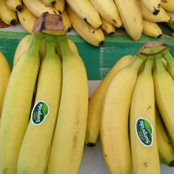 

SALE Buah pisang Sunpride fresh 1kg