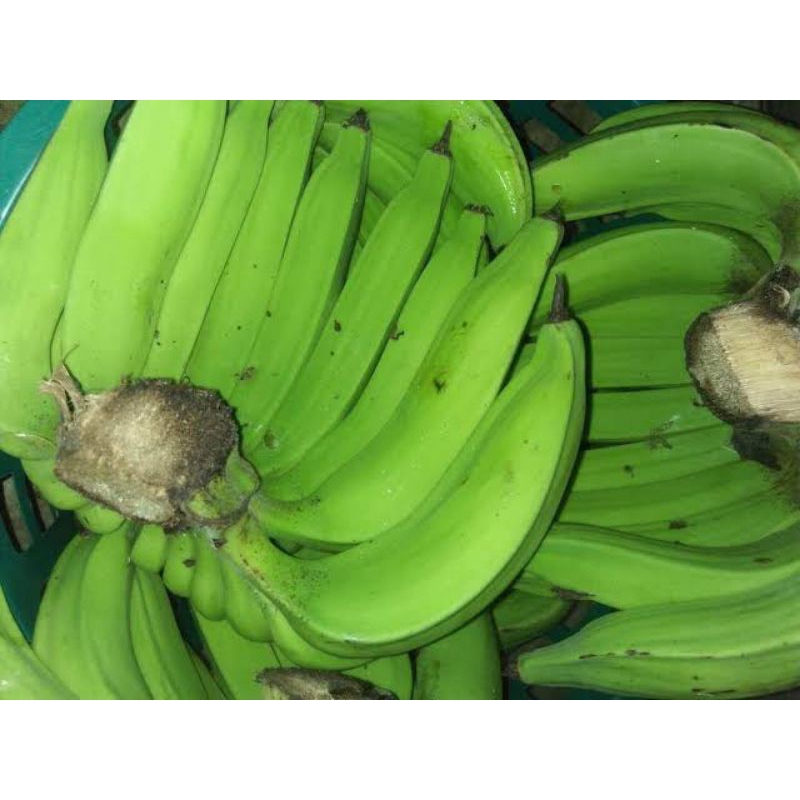 

pisang nangka mentah 1kg