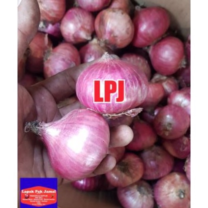 

99 BRANDS FESTIVAL Bawang MERAH PEKING 1 Kg LPJ
