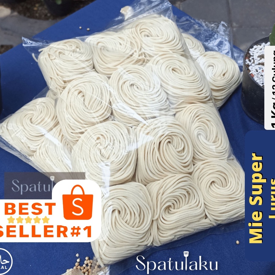 

Jangan Sampai Kehabisan MIE BASAH LURUS SUPER untuk bakmie mie ayam yamin dll