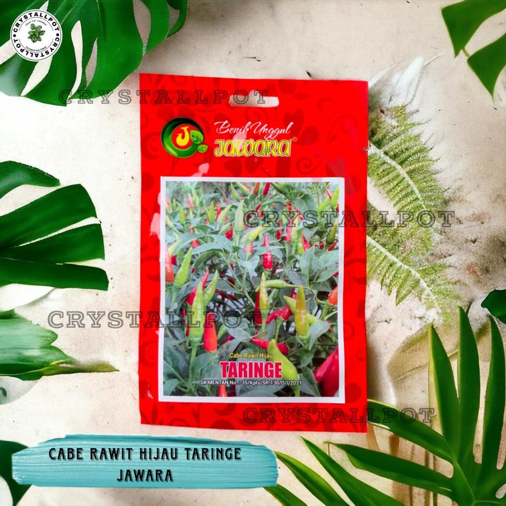 Benih Bibit Cabe Rawit Hijau Taringe Benih Unggul Jawara - CABE RAWIT HIJAU TARINGE