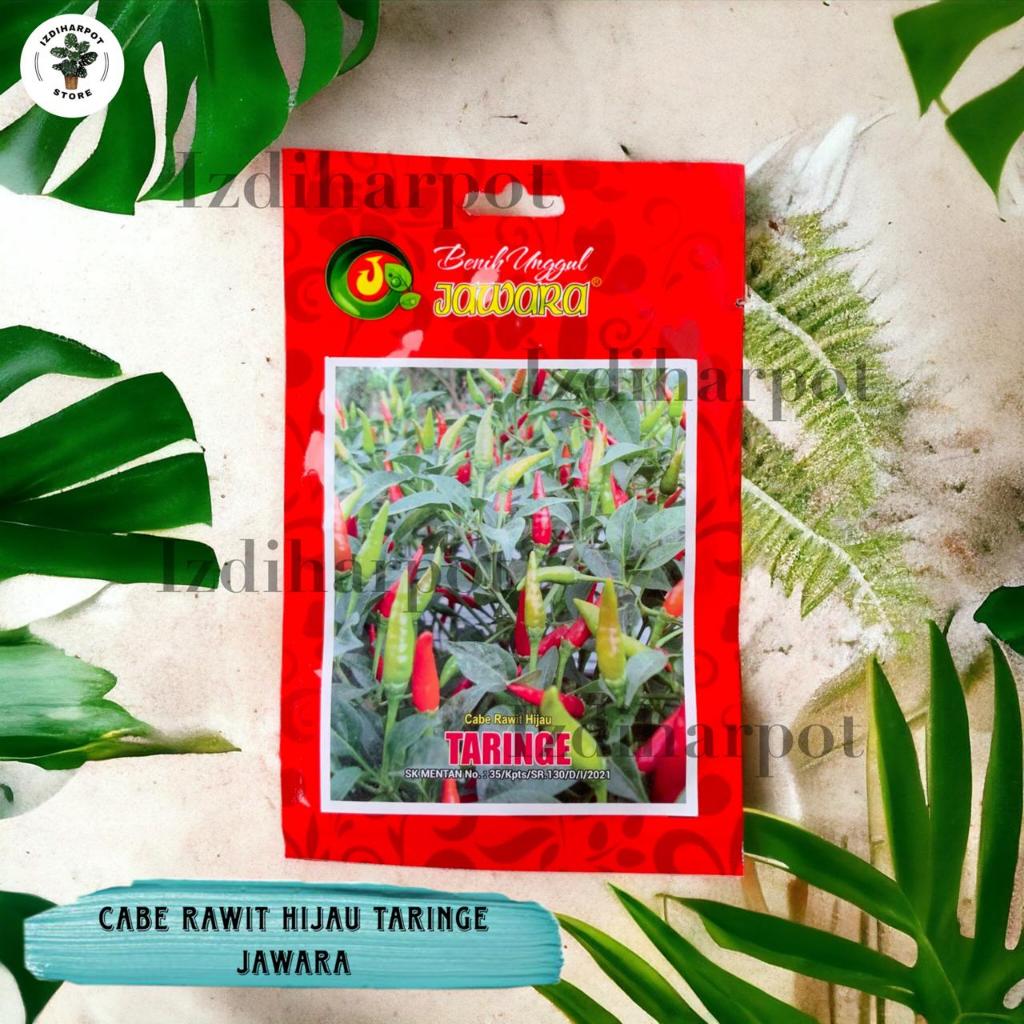 Benih Bibit Cabe Rawit Hijau Taringe Benih Unggul Jawara - CABE RAWIT HIJAU TARINGE