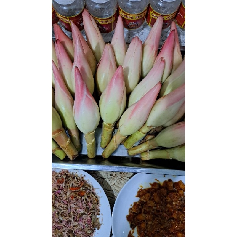 

KECOMBRANG MENTAH PERKILO /KINCUNG/-HONJE
