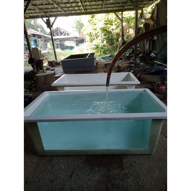 kolam ikan+kaca 100*65*90 tanpa filter