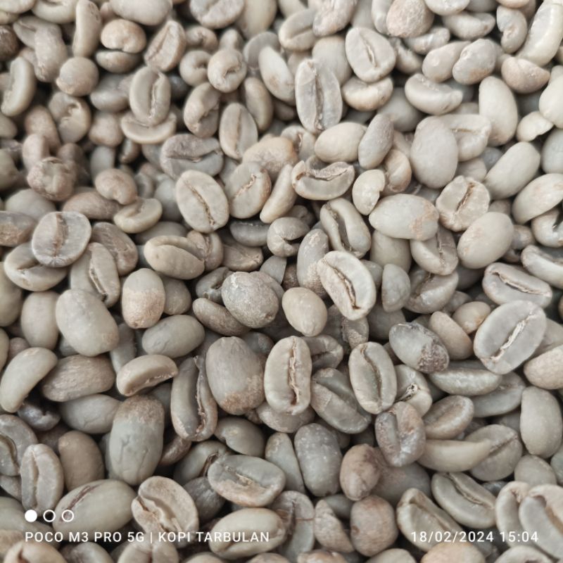 

Green Bean / Biji Kopi Mentah Arabika Aceh Gayo Specialty Netto 1 Kg