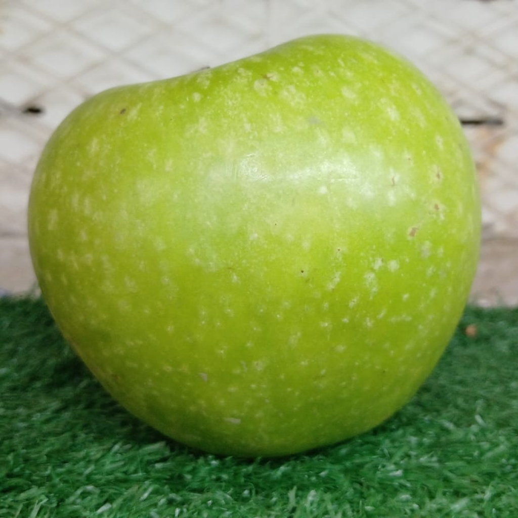 

APEL GS AFRICA (PACK) +/- 1 KG (1052)