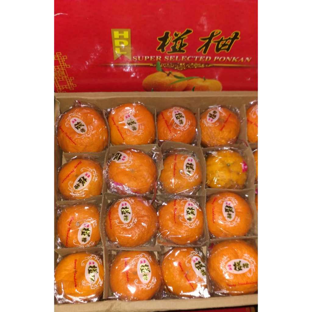 

Jeruk Ponkam HDL Isi 40 Manis Seger