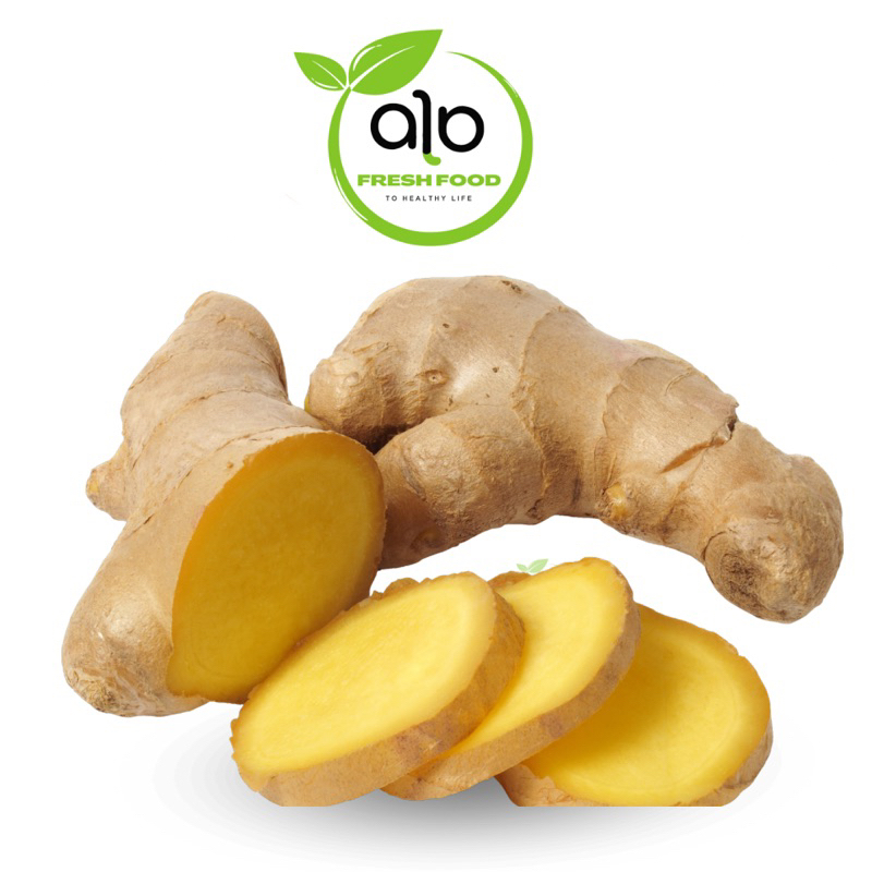

Kencur || 100gr - ALO Fresh food