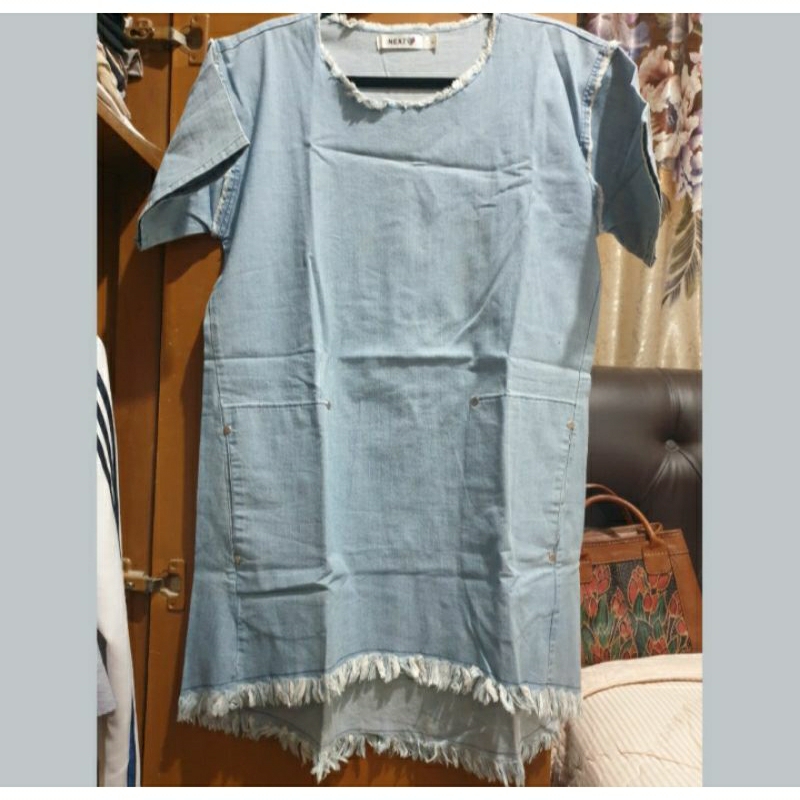 Next Denim Dress