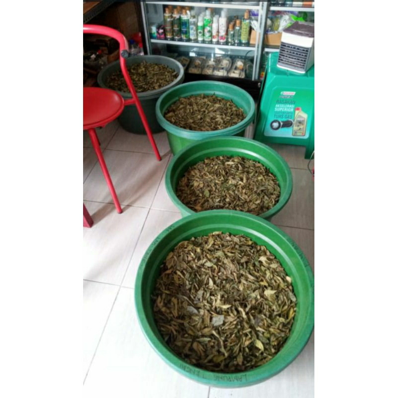 

daun kari/kare/salam Koja kering premium (1kg)
