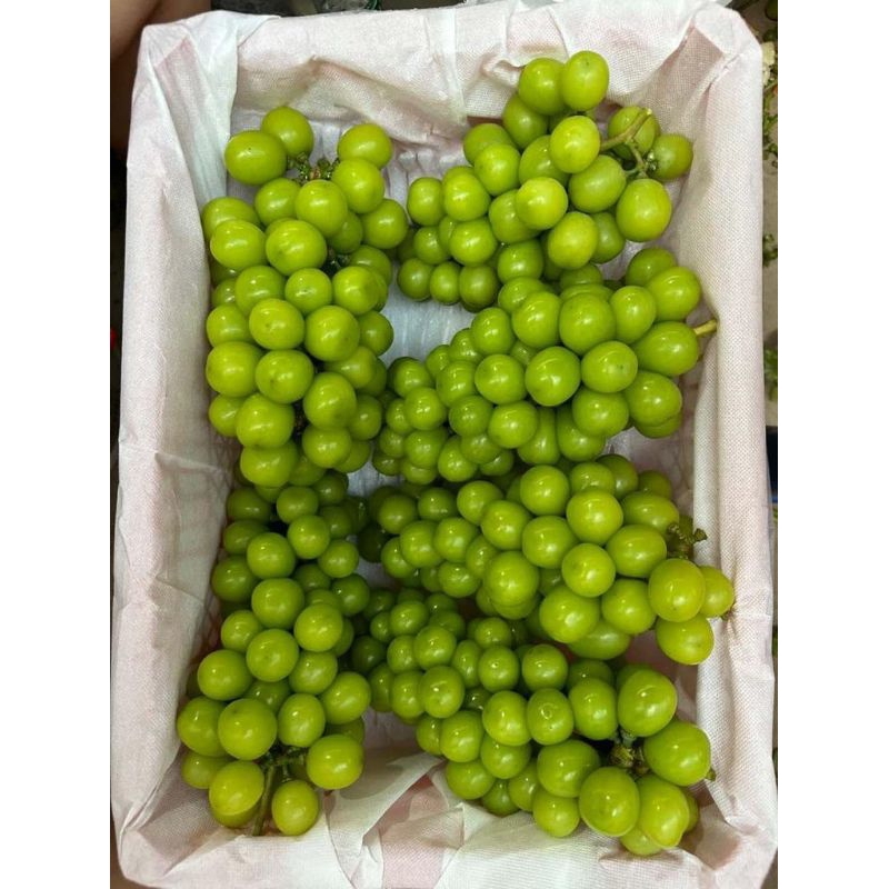 

Anggur Muscat Per Box/Carton