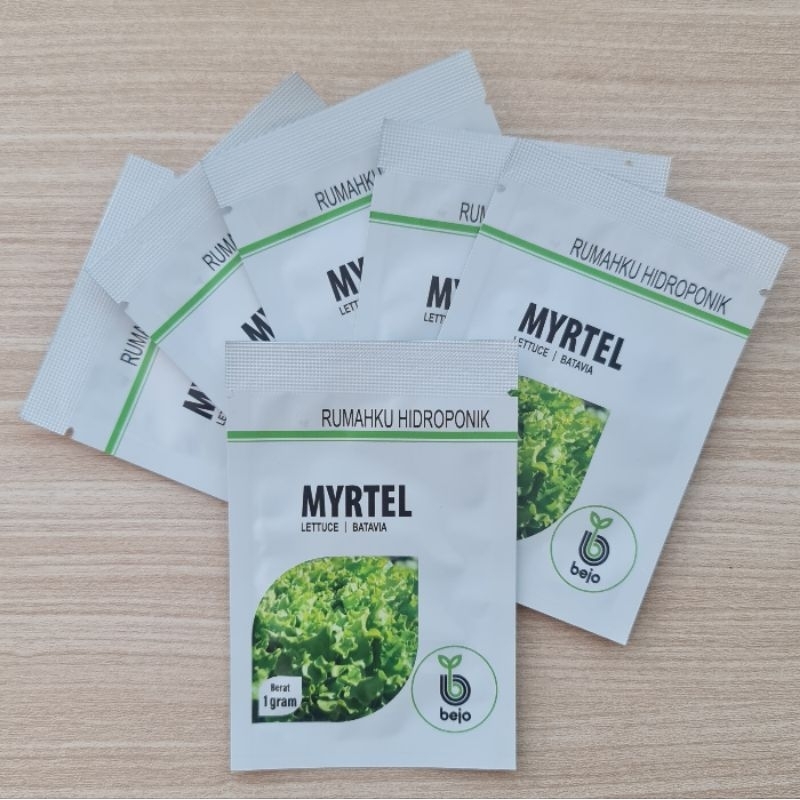 Benih Selada Batavia - Myrtel (Bejo Seed)